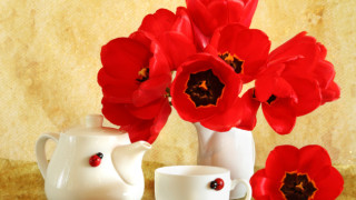 Ваза свежест