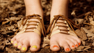 Боси  крачета