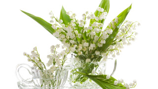 Жужи, кипи, всичко започва отначало. Пролет е!