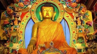 Мисъл на деня от Буда (СНИМКИ + ВИДЕО)