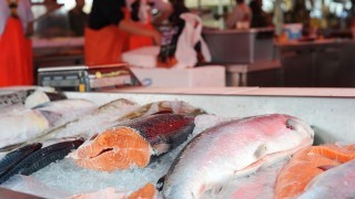 Ползите от рибеното масло