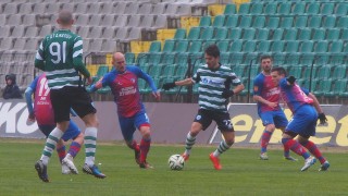 Плейофите в 