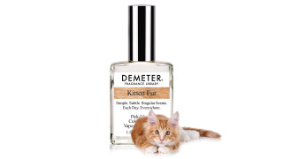Kitten Fur: парфюмът с аромат на котенца