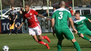 Каранга шамароса 