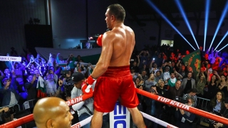 Кобрата се боксира на 9 ноември?