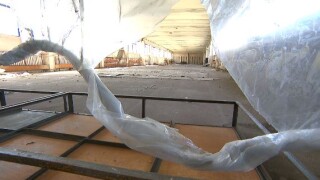 ЦСКА е на път да остане без хандбален отбор (ВИДЕО)