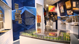 Феновете на 