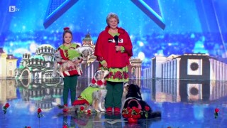 Веселка Илиева и танцът на нейните Австралийски овчарки