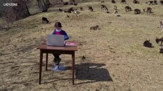Кози вместо съученици: дистанционното обучение на едно момиче в Италия (ВИДЕО)