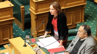 Жените в Нова Зеландия, претърпели спонтанен аборт, ще имат право на платен отпуск