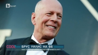 Звездни рожденици и домашни любимци - новините от шоубизнеса през изминалата седмица
