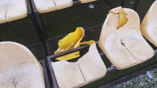 25 изкъртени седалки и разрушена метална ограда след пловдивското дерби (СНИМКИ)