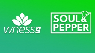 Wness TV и Soul & Pepper TV влизат в портфолиото на bTV Media Group