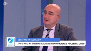Снимка Какви са трите стратегии за регулиране на нервната система в условия на стрес?  