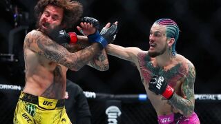 Как изглеждат 150 удара в главата? (СНИМКИ)