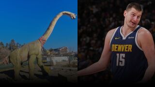 Каква е работата с Йокич и динозаврите?