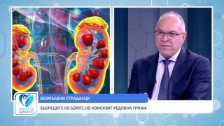 Снимка Бъбречно здраве - бъбреците не болят, но изискват редовна грижа     