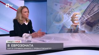 Снимка: В еврозоната: Как се справиха банките с превалутирането?