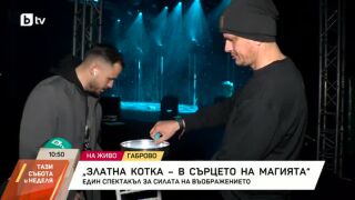 Снимка: Златна котка - в сърцето на магията