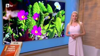 Снимка: Облачно и дъждовно в неделя