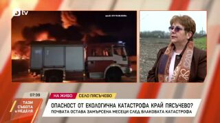 Снимка: Опасност от екологична катастрофа край Пясъчево?
