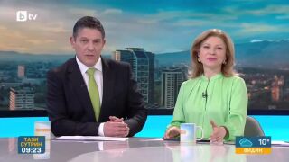 Снимка: Тревожна статистика: Врабчетата в България са намалели наполовина за 20 години