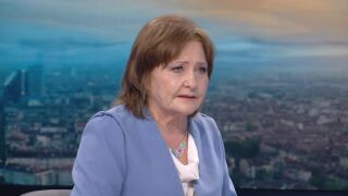 Снимка: Плесен и храни с изтекъл срок в училищните столове: "Това е риск за развитие на инфекциозни болести"