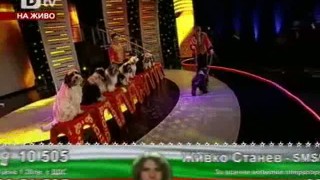 Дресура на кучета
