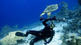 Ловецът на подводни тайни