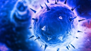 Световен ден за борба с лупус