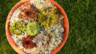 Три стари вещи с нова употреба