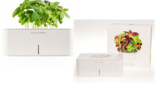 Кликни и порасни