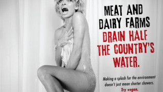Памела Андерсън се разсъблече отново за PETA