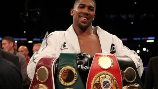 Джошуа решава за следващия си опонент до десетина дни