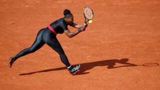 Пантерата Серина Уилямс (ГАЛЕРИЯ)