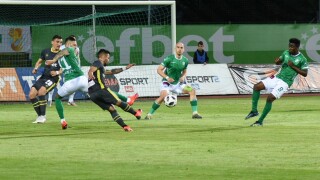 Григоре спаси 