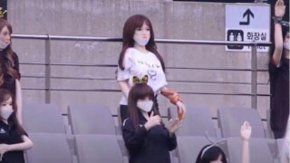 Едрогърди секс кукли замениха феновете в Южна Корея (ВИДЕО)