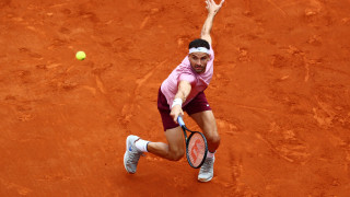 Григор Димитров получи 