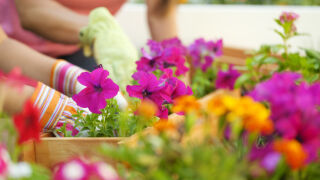 Идеи за градински декор, които можеш да направиш сам с материали от Mr. Bricolage