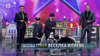 Веселка и нейните прекрасни австралийски овчарки