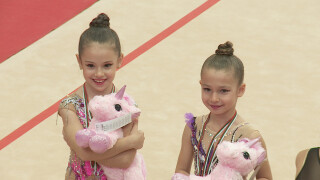 Художествена гимнастика с кауза