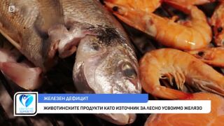 Снимка Симптоми, източници и методи за усвояване на желязото       