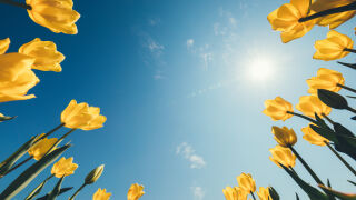 Снимка: Проф. Георги Рачев: Захлаждане отстъпва място на затопляне, но нов студен фронт дебне около Великден