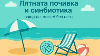 Лятната почивка и синбиотика – защо не можем без него