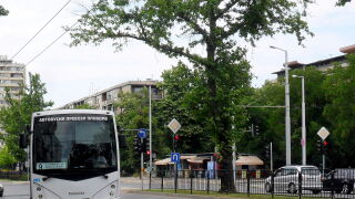Какво се променя в Пловдив заради дербито Ботев - Локо? 