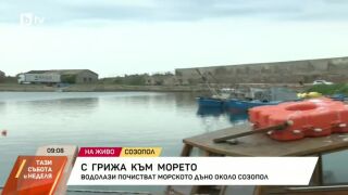Снимка: С грижа към морето