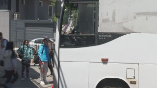 Снимка: Колани в автобусите: В някои дори няма, в други - "това е последният проблем, те са пред разпадане"