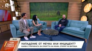 Снимка: Инцидент или нападение от мечка?