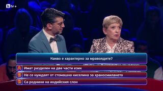 Катето Евро заведе кучето си на специална фотосесия - ето какво се случи (ВИДЕО)