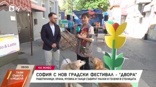 Снимка: София - с нов градски фестивал "Двора"